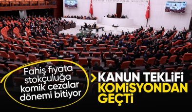 Fahiş fiyat artışı ve stokçuluk cezalarını artıran kanun komisyondan geçti