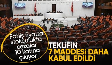 Fahiş fiyat artışı ve stokçuluk cezalarını artıran kanunun 7 maddesi daha kabul edildi