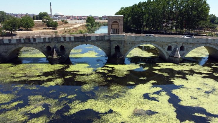 Edirne’de üzeri yosun tutan Tunca Nehri’nin debisi bir ayda yarıya düştü