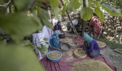 Tunceli’de 1500 dekarda üretilen tescilli dut, köylülerin geçim kaynağı oldu