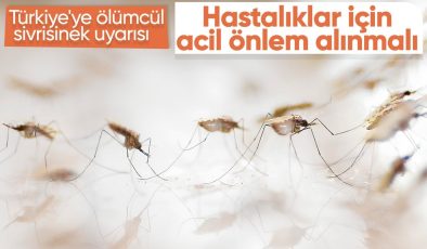 Türkiye’de ölümcül virüs uyarısı: Acil önlemler alınmalı